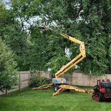 Roswell, GA Tree Care Company