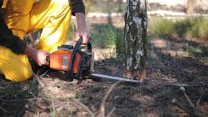 Best Lawn Maintenance Plans  in Roswell, GA