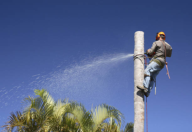 Best Soil Testing and Treatment  in Roswell, GA