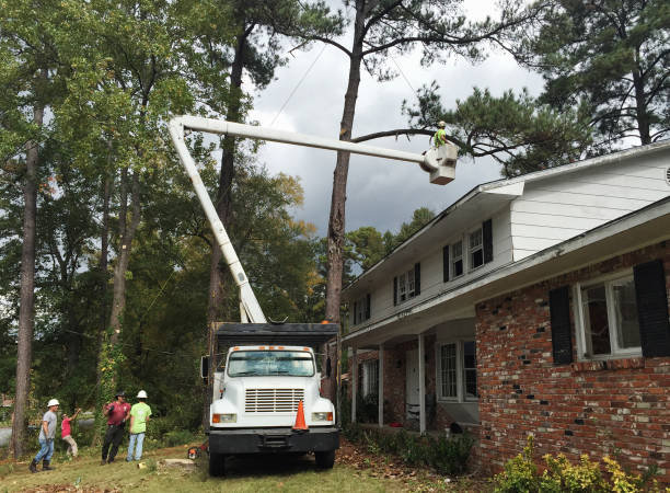 Pest Control for Lawns in Roswell, GA